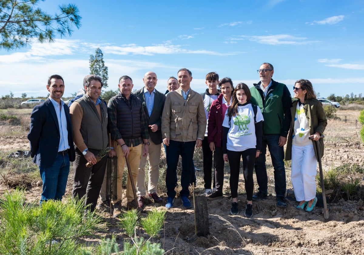 Nueva plantación en la zona afectada por el incendio de Doñana