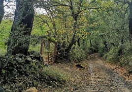 Las cinco mejores rutas de senderismo para hacer en Huelva durante este mes de otoño