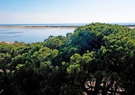 Declaradas zonas especiales de conservación cuatro espacios naturales del litoral de Huelva