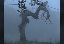 Este es el lugar de Huelva que parece sacado de una película de Harry Potter: «¡Qué pasada!»