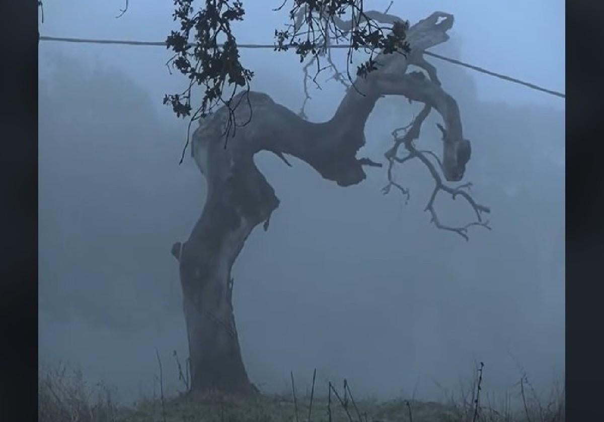 Imagen de la Sierra de Aracena