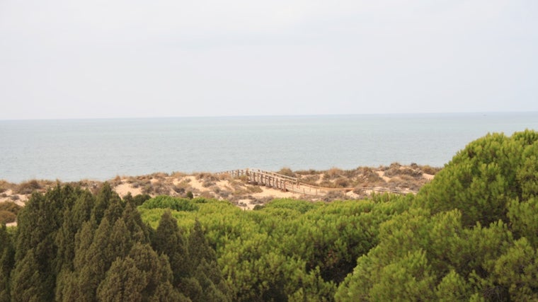 En este lugar mágico de Huelva puedes ver uno de los atardeceres más bonitos de la provincia mientras tomas una tarta