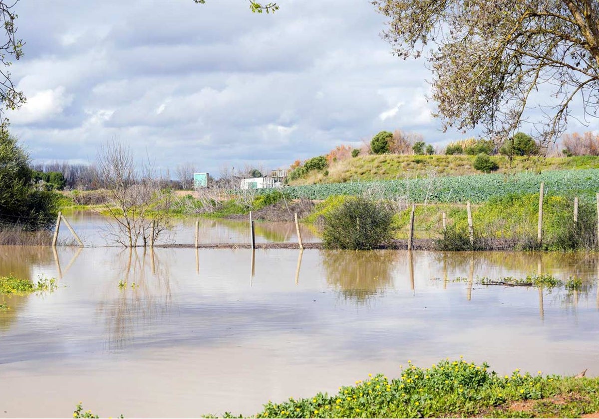 Imágenes del Vado del Quema inundado hace unos días