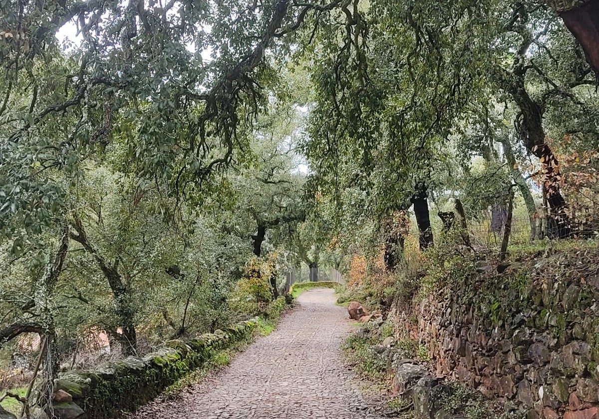 Paisaje durante un sendero por la Sierra de Huelva