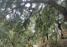 Tres rutas fáciles para hacer en Huelva en invierno que mezclan naturaleza, cultura y literatura