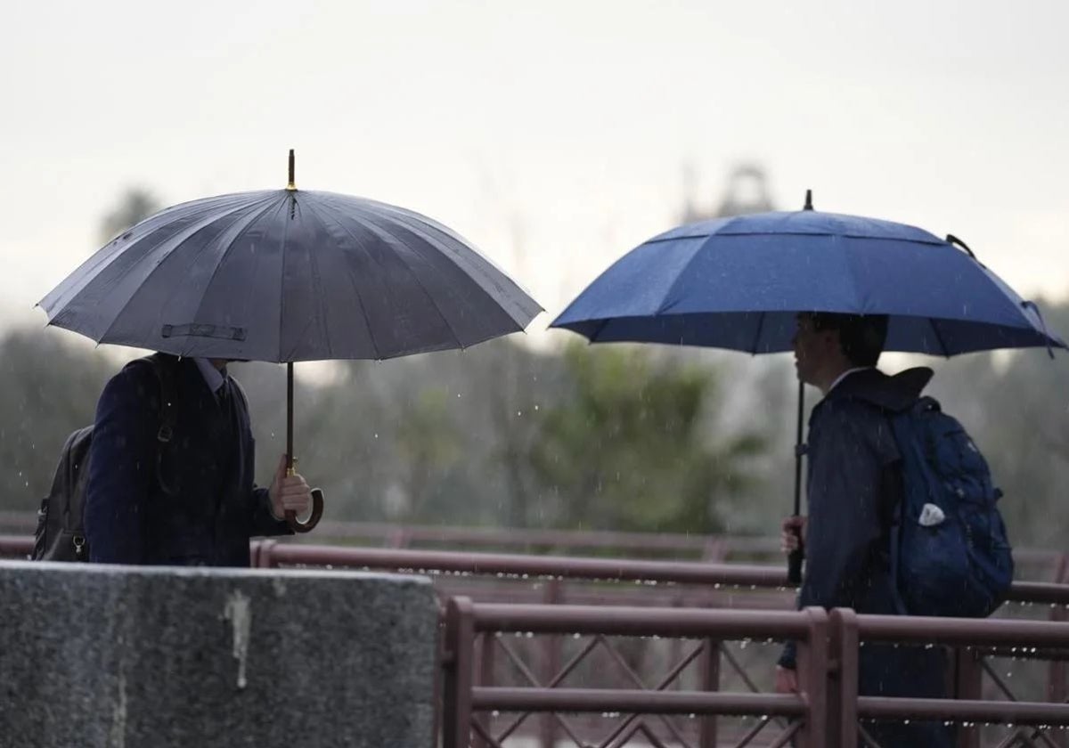 Dos personas paseando bajo la lluvia con sus paraguas