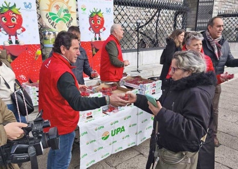 Imagen secundaria 1 - Arriba, la larga cola que se formó para recoger una de las tarrinas que se regalaron el jueves en el centro de León y sobre estas líneas, el 'stand' de la UPA y la mascota de la campaña fotografiándose con vecinos de la capital leonesa