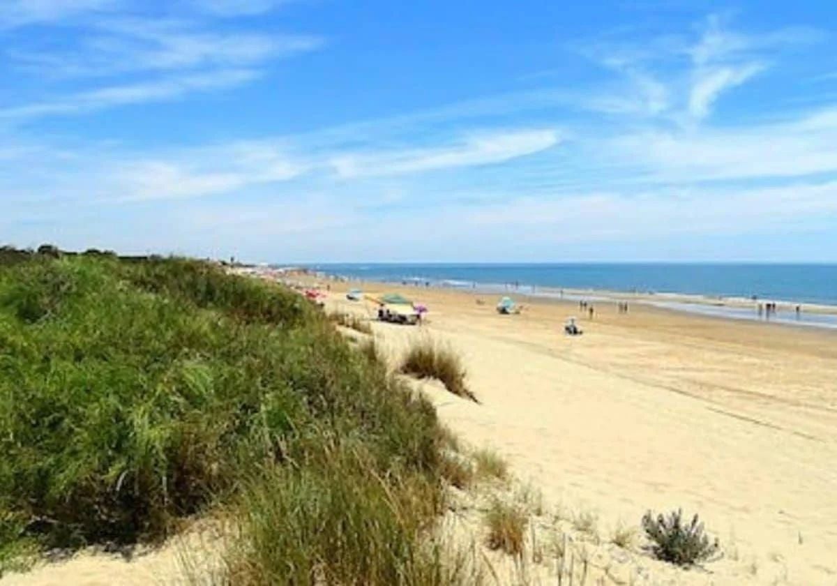 Una zona de dunas de la playa de Isla Cristina