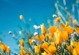 El tiempo en Huelva: fin de semana primaveral... ¿a la espera de otra dana?