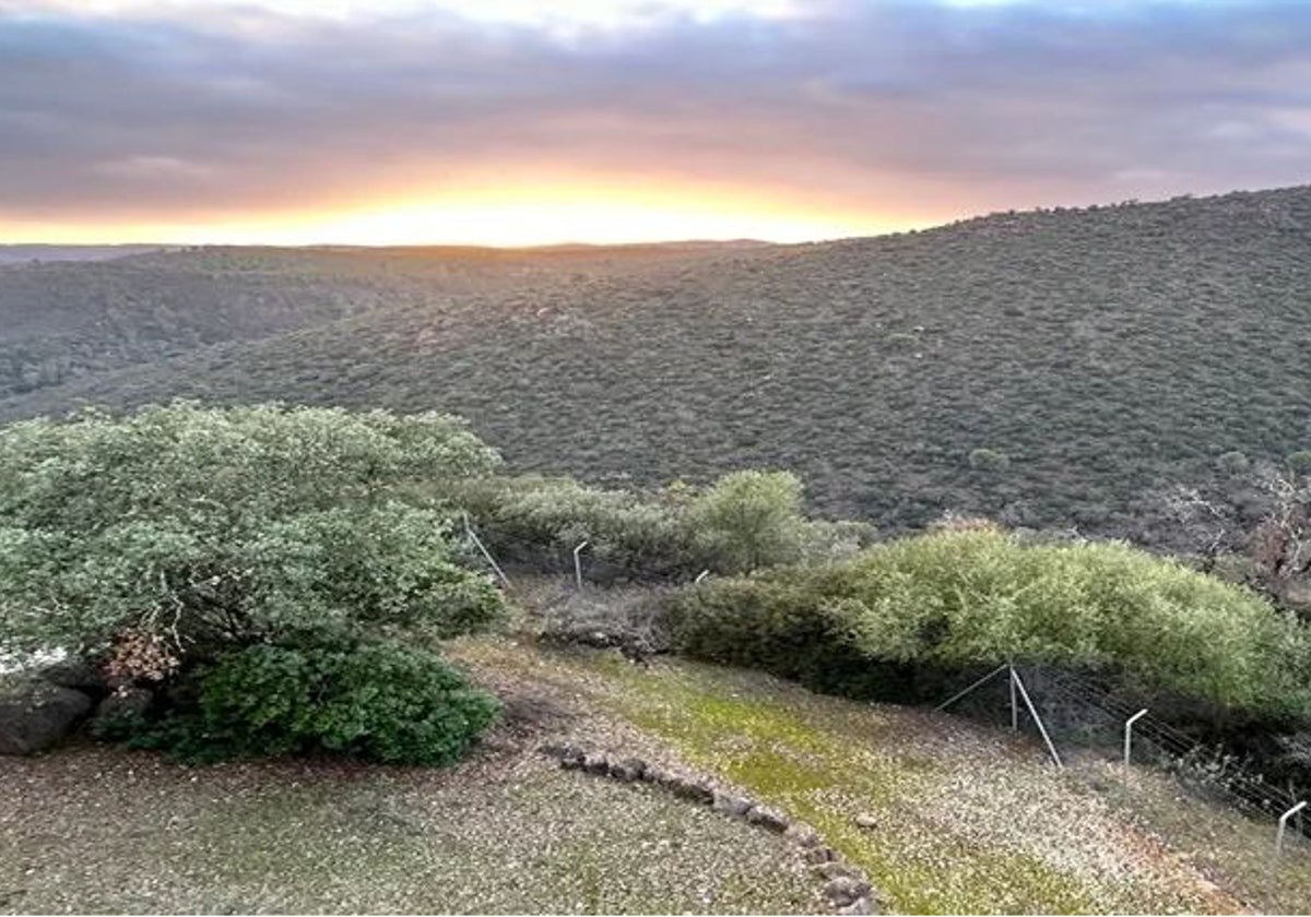 Paisaje del Berrocal