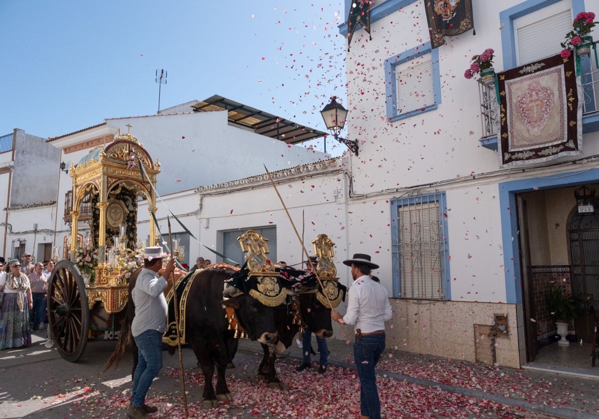 Rociana del Condado celebra este sábado su tradicional Romerito