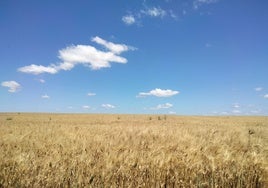 El tiempo en Huelva: Cielos azules y aumento de las temperaturas
