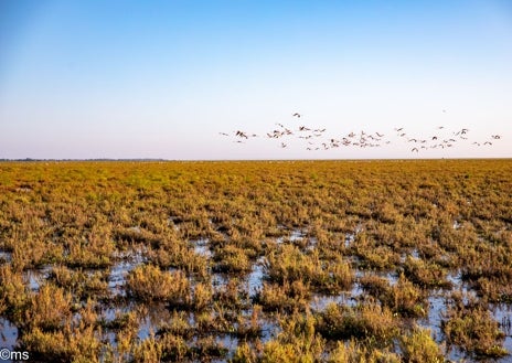 Imagen secundaria 1 - Las lluvias primaverales de este año han dejado imágenes en el espacio natural que hacía tiempo que no se veían