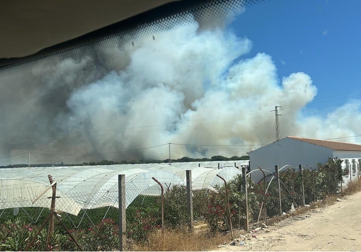 Vista del incendio declarado en el paraje moguereño