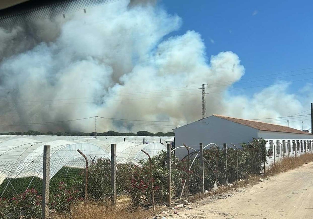 Imagen del incendio declarado este lunes