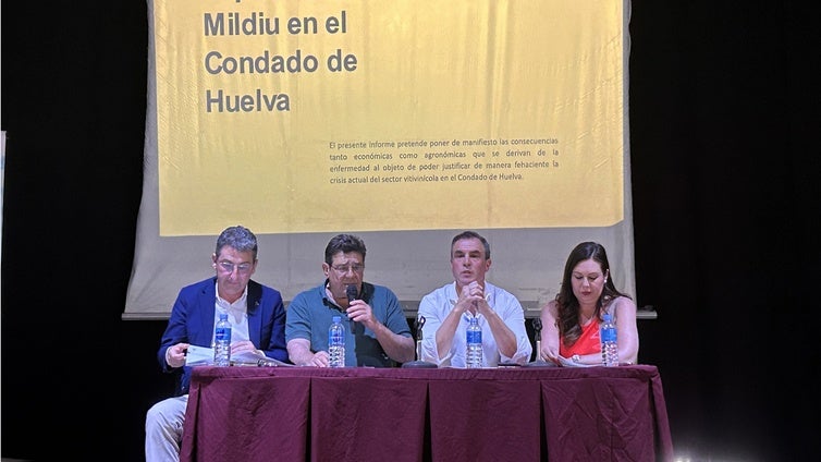 El viñedo del Condado de Huelva, amenazado por la plaga de un hongo: «Los daños pueden ser históricos»