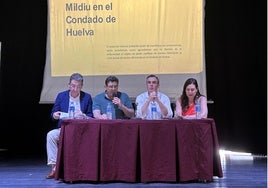 El viñedo del Condado de Huelva, amenazado por la plaga de un hongo: «Los daños pueden ser históricos»