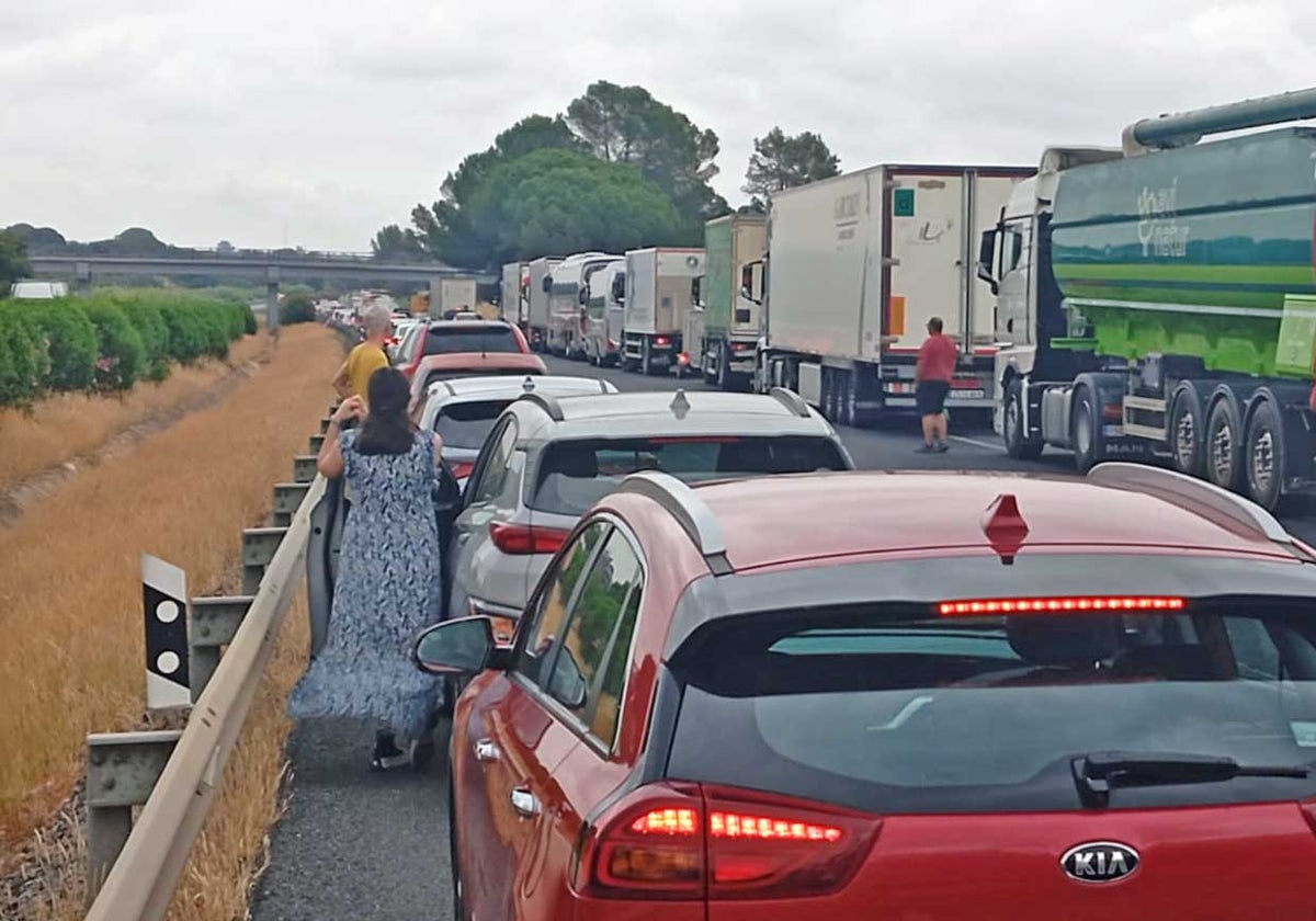 Atasco en mitad de la A-49