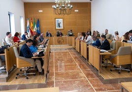 La Diputación de Huelva reclama al Gobierno más financiación para los municipios y a la Junta un plan contra la fiebre del Nilo