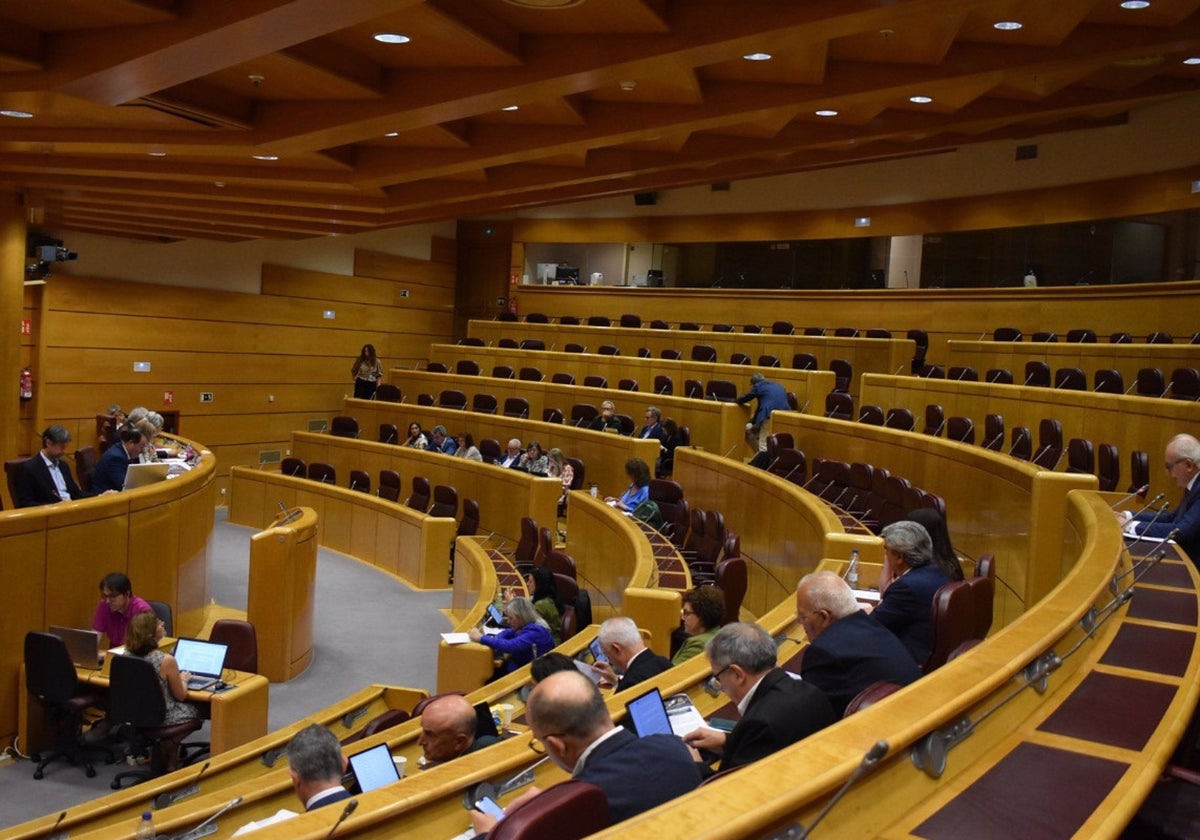 Sesión de la comisión de Cultura del Senado