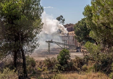 Un año de parálisis judicial en el caso del incendio que arrasó 10.000 hectáreas en Doñana