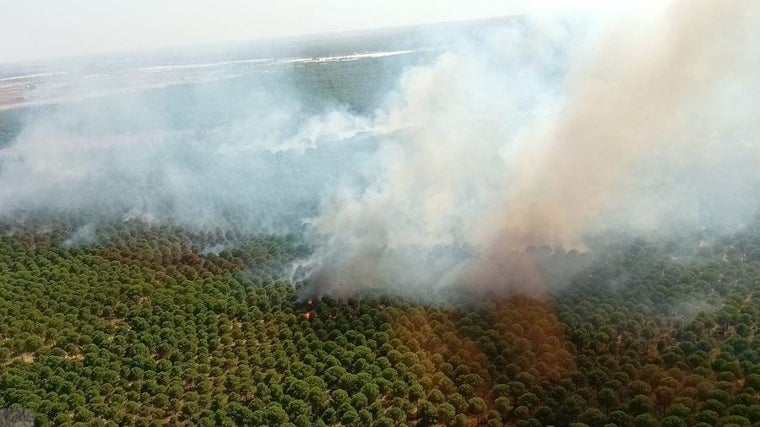 Vista del incendio