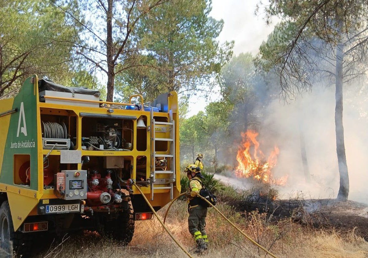 Efectivos del Infoca trabajando en el control del fuego en Almonte