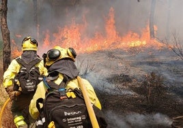 El Infoca combate el fuego a las puertas de Doñana