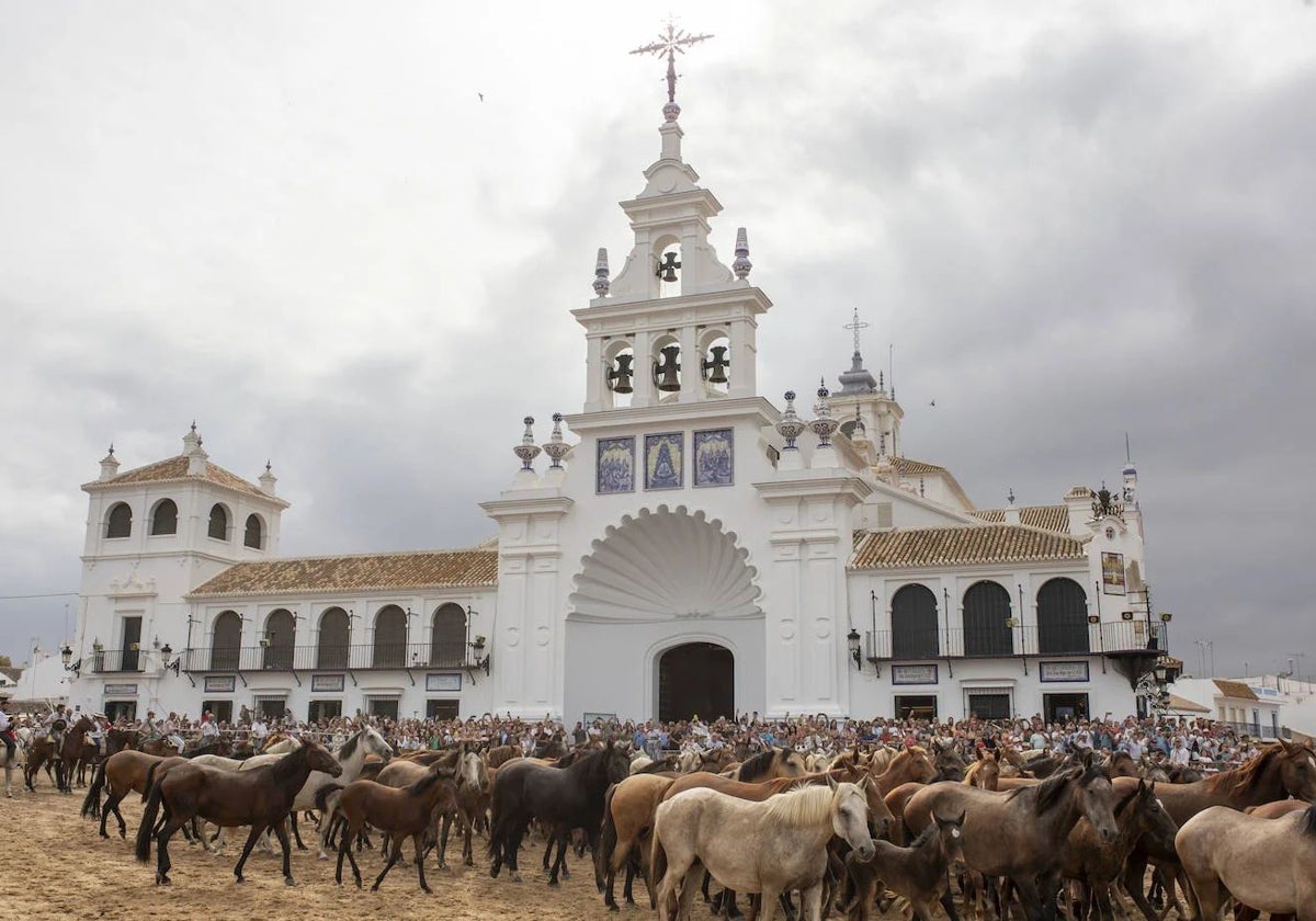 Saca de las Yeguas del pasado año