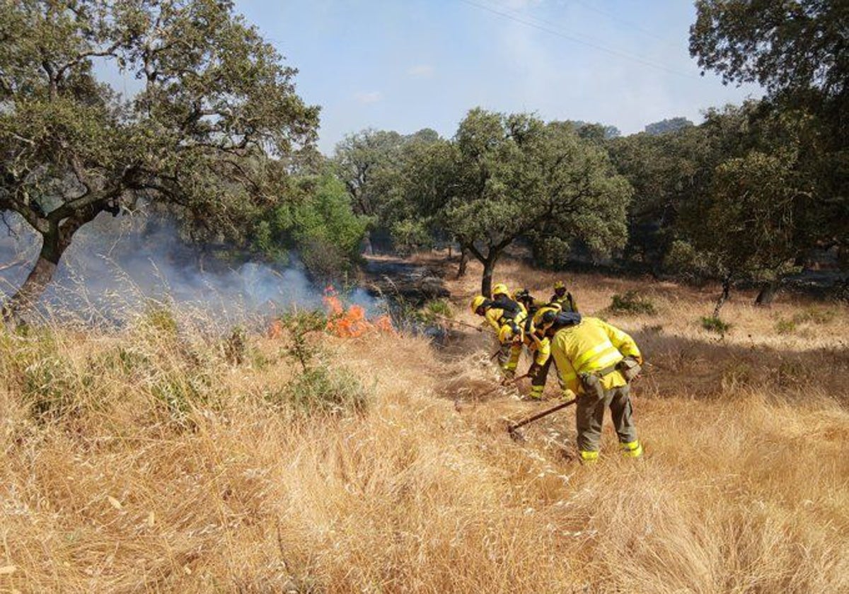 Vista del incendio declarado este sábado