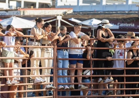 Imagen secundaria 1 - Momentos de la Saca de las Yeguas, esta mañana en El Rocío
