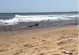 Nuevos límites a los grandes buques para prevenir olas gigantes en Mazagón
