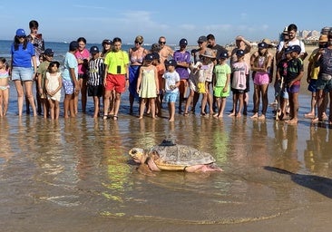 Donatello regresa al mar en Punta Umbría un año después de ser rescatada por pescadores locales