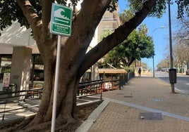 Pronostican la fecha de un posible tsunami en España: ¿Afectaría a la costa de Huelva?