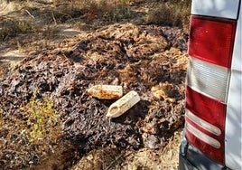 Investigan un vertido ilegal de restos animales en monte público de Hinojos