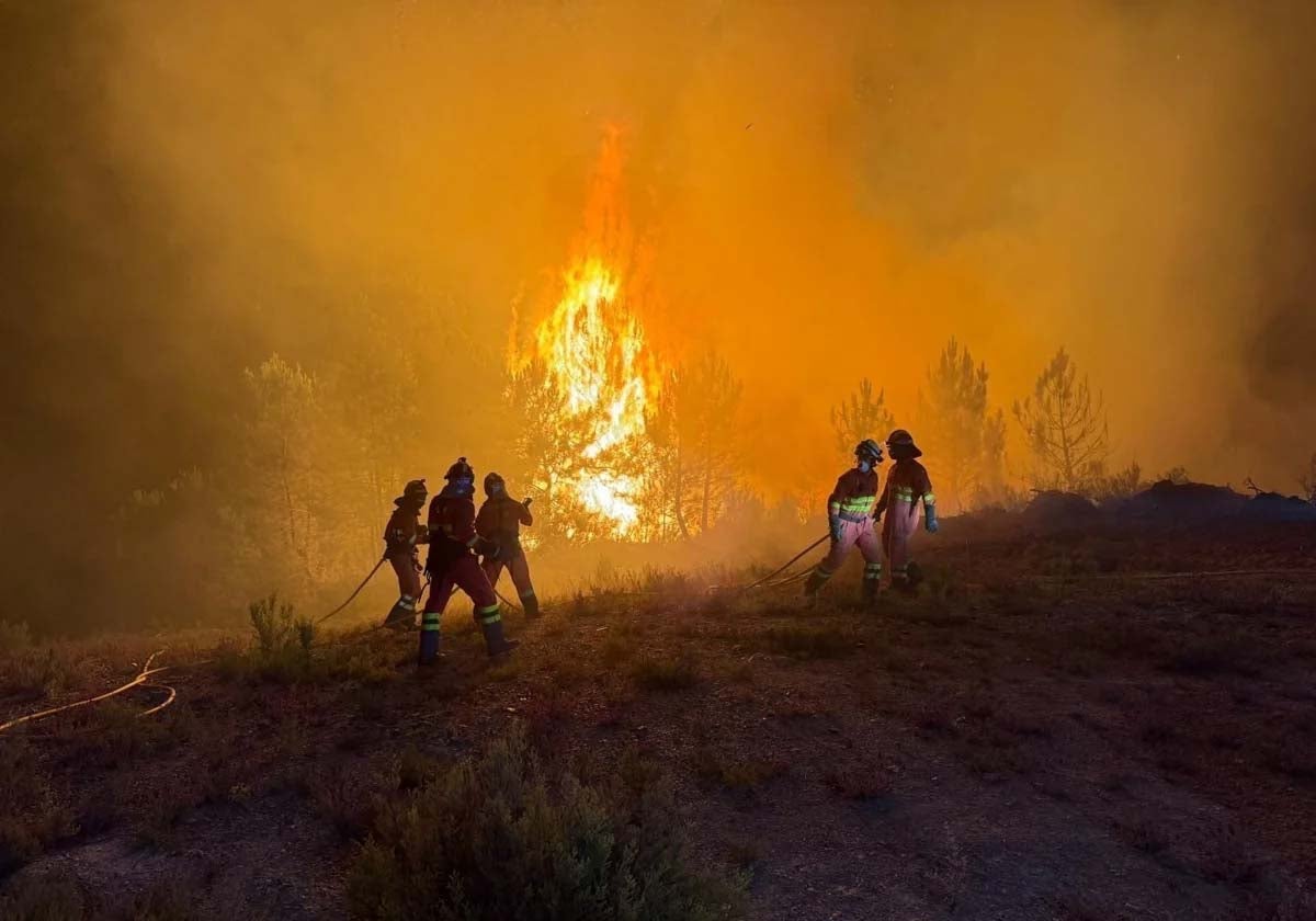 Efectivos de la UME, trabajando en uno de los incendios de Castilla y León