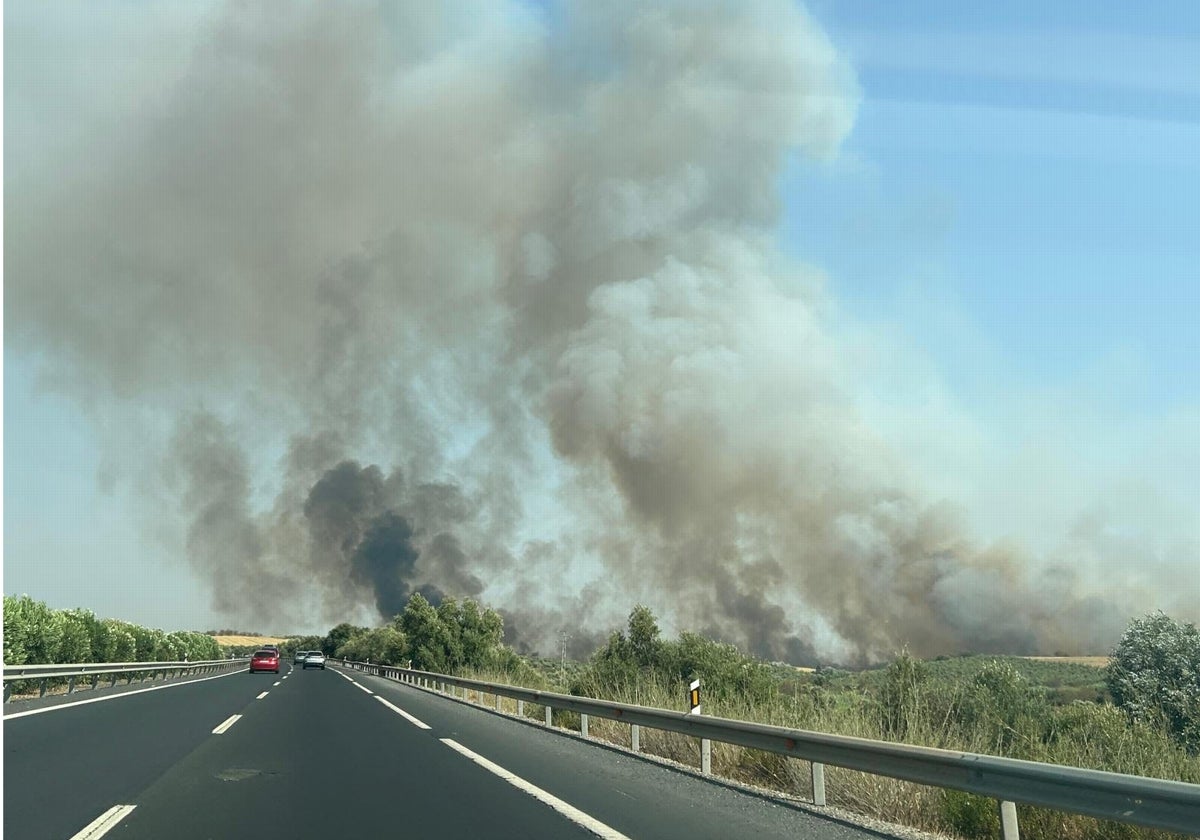 Estabilizado el incendio de Bonares, que encendió las alarmas en plena jornada de tráfico intenso
