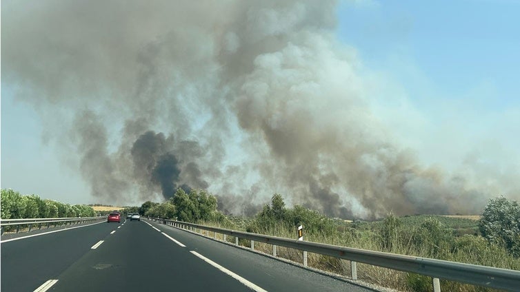 Estabilizado el incendio de Bonares, que encendió las alarmas en plena jornada de tráfico intenso