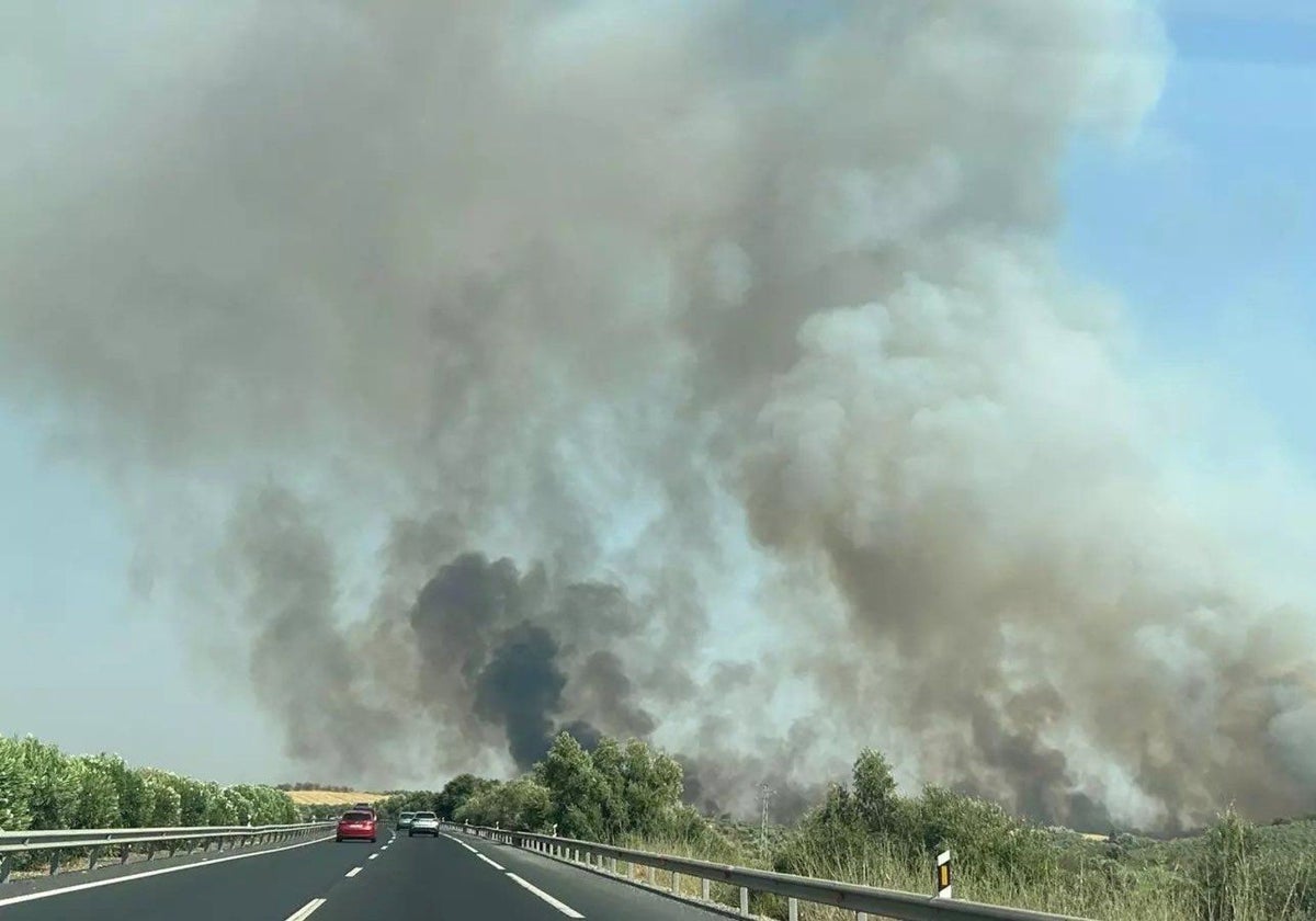 Incendio de Bonares del pasado 17 de agosto