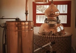 El pueblo de Huelva que se ha hecho famoso por sus ginebras, licores y anises