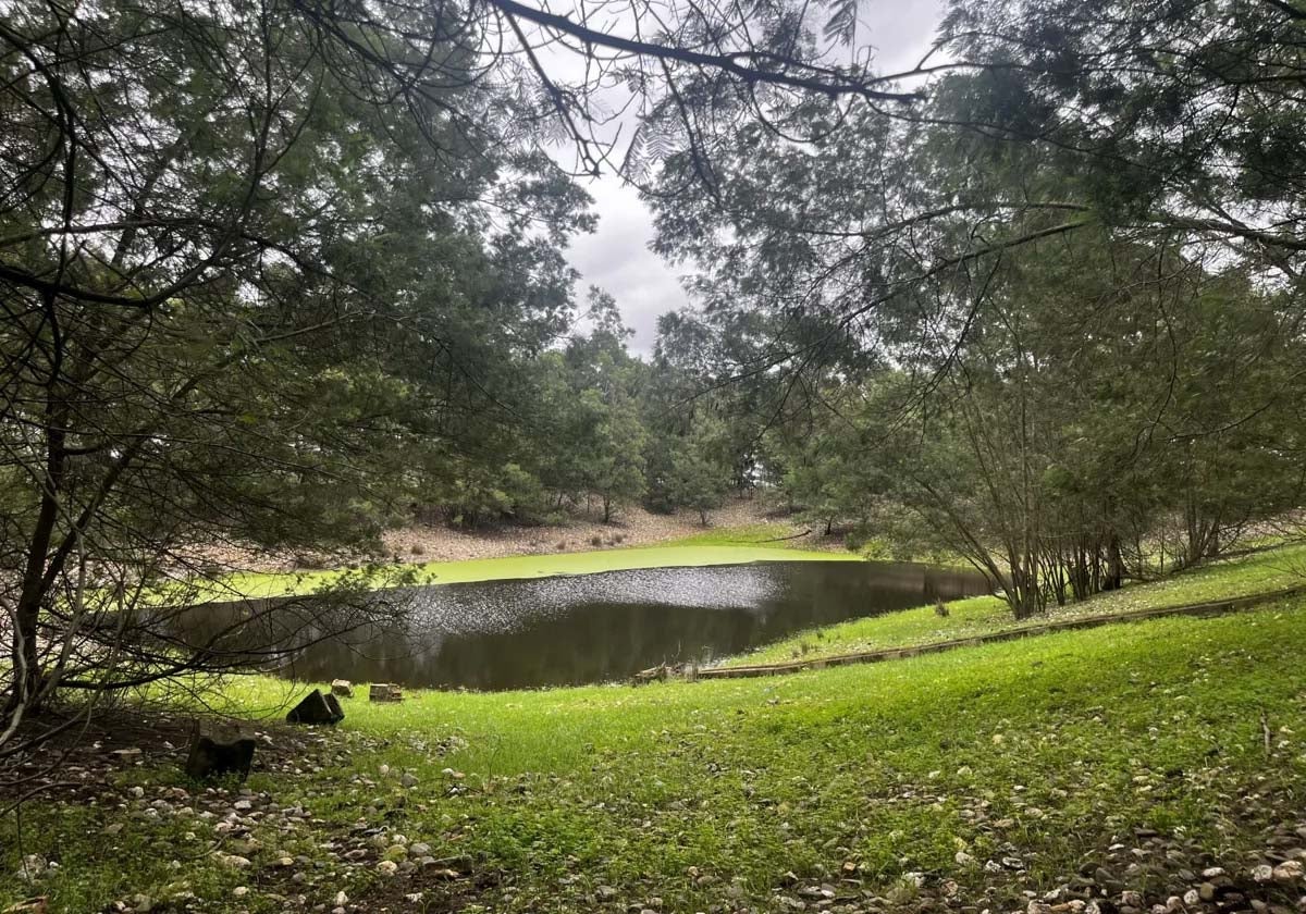 Una balsa en la finca Los Mimbrales