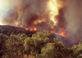 El ecologista Juan Romero advierte del polvorín forestal que hay en Huelva: «Hay zonas que serán imposibles de apagar»