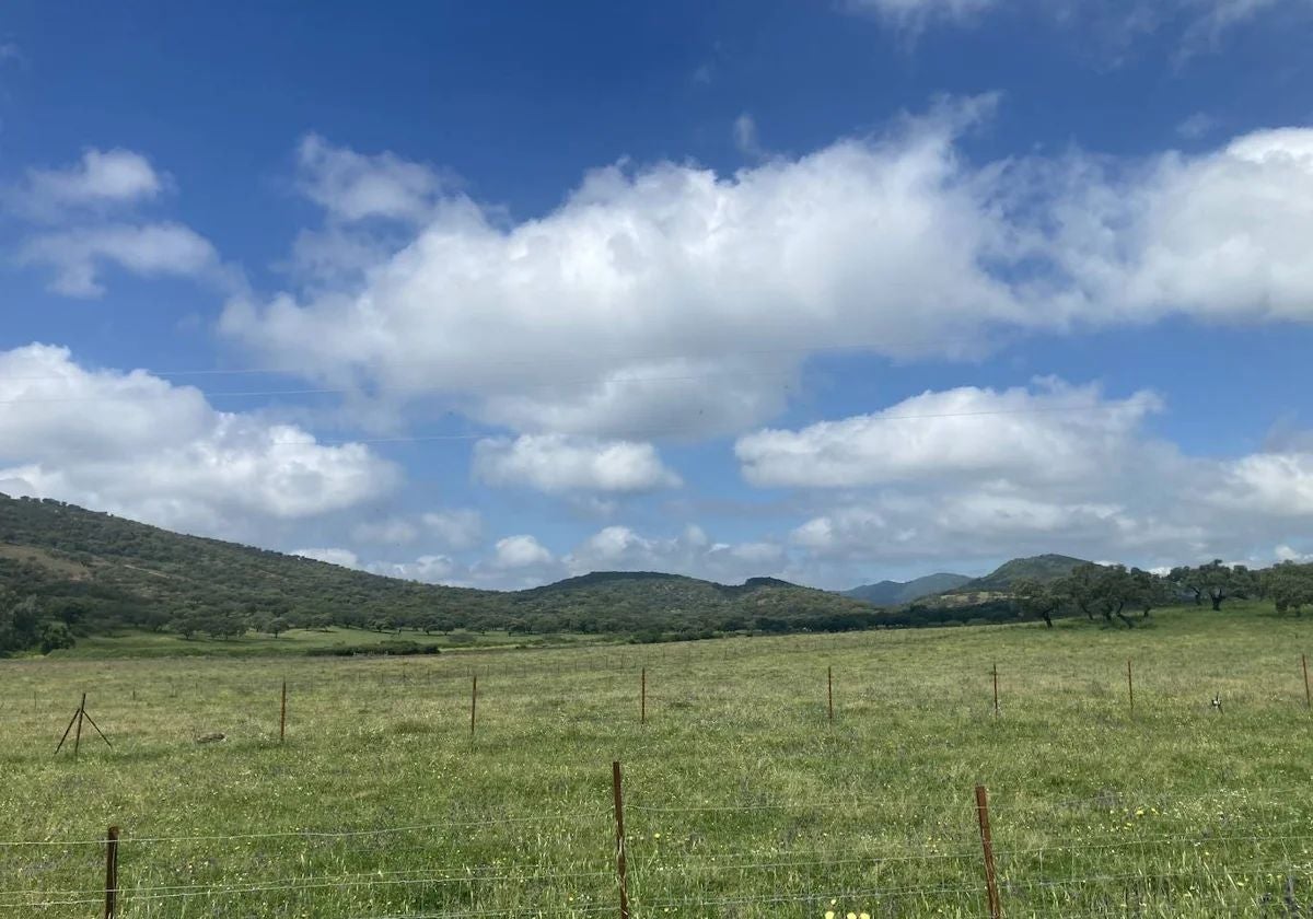 Las primeras lluvias comenzarán a asomar en los próximos días