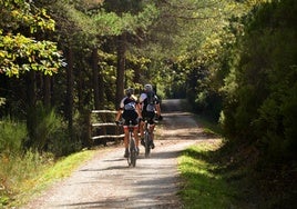 La impresionante ruta ciclista por Doñana que te lleva desde Huelva hasta Cádiz: podrás recorrer playas vírgenes y ver paisajes inolvidables