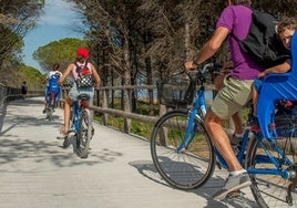 A punto de finalizar las obras del carril bici que unirá El Rompido, El Portil, Punta Umbría y Huelva
