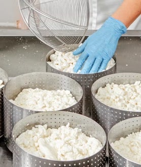 Imagen secundaria 2 - En este pueblo de Huelva puedes hacer tu propio queso casero en plena naturaleza: «Es entretenido y aprendes muchísimo»