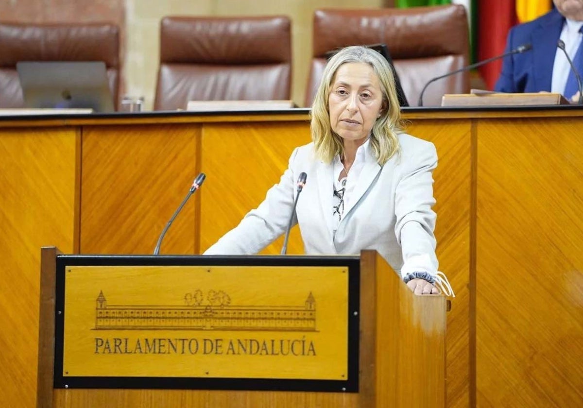 La hasta hoy consejera de Salud, Rocío Hernández