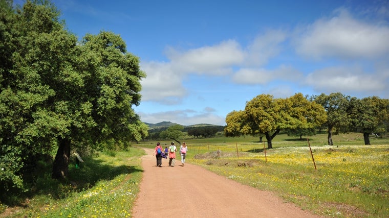 Ruta de senderismo