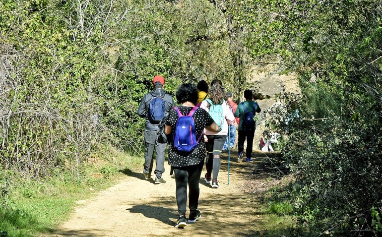 Imagen principal - Sendero de chorros de Joyarancón