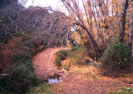 Imagen secundaria 1 - En la imagen superior, una calle de Arroyomolinos; abajo y a la izquierda, un sendero coloreado con los tonos de otoño y a la derecha el hito que define el punto más alto de la provincia de Huelva